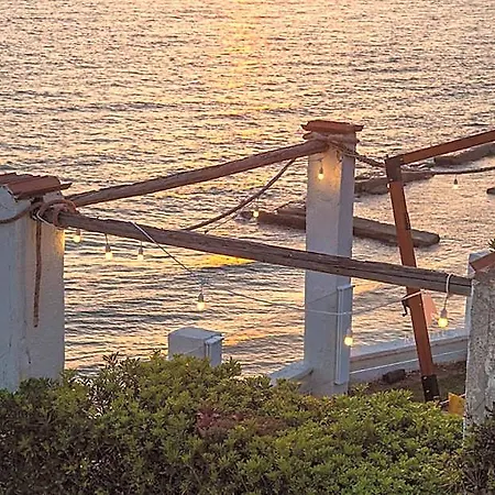 Ritual Sunset Lover