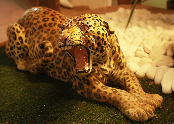 Ritual Sunset Lover Άντζιο